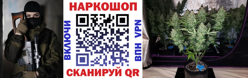 Наркошоп купить А ПВП  Галлюциногенные грибы  Мефедрон  ГАШИШ  Бошки Шишки  Ростов