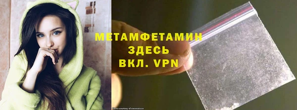 ALPHA PVP Каменка