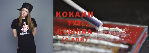 ALPHA PVP Каменка