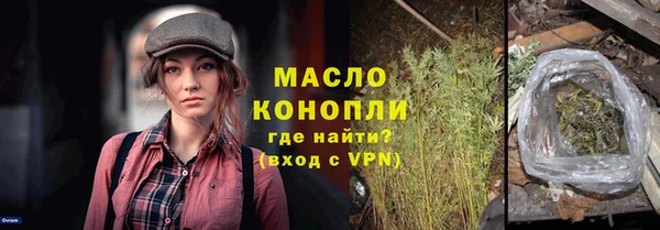 ALPHA PVP Каменка