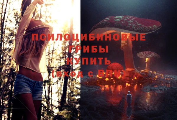 ALPHA PVP Каменка
