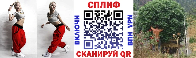 Купить где Ростов Конопля марихуана